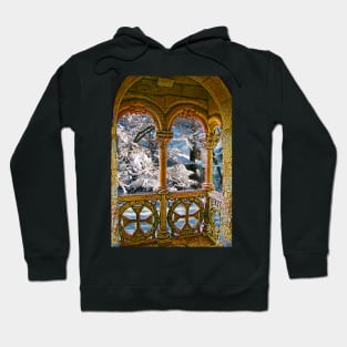 Four Seasons. Winter. Hoodie